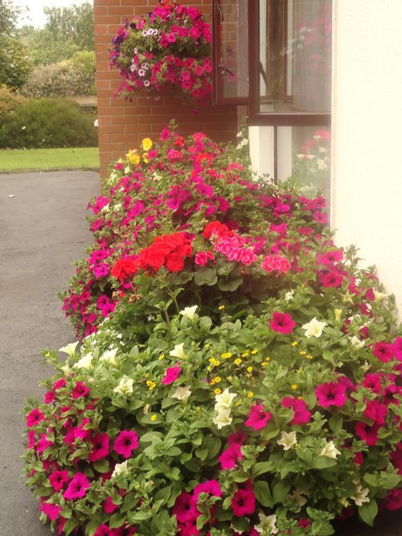 Orley House B&B Drogheda Exterior foto